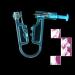 LOOCOO 8Pcs Disposable Ear Piercing Gun Set - Sterile, Painless, Non-infection, Non-inflammation - Blue - Buy Online on GoSupps.com