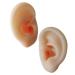 Operitacx 1 Pair Ear Picking Model Teaching Ear Model Ear Acupoint Learning Tool Scientific Ear Model Ear Models Silicone Ear Mold Auditory Meatus Model False Ears Silica Gel Visible Ear