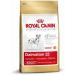 Royal Canin Dalmatian Adult Breed Dry Dog Food 12kg - Buy Online on GoSupps.com