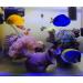 Orgmemory Ceramic Fish Tank Cave Decorations - 2 Pieces | Aquarium Accessories for Aquatic Animals - Buy Online on GoSupps.com