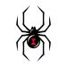 Datewithshower Temporary Tattoos 6 Sheets Black Widow Spider White Creepy Tattoo Stickers for Adult Kids Women Men Arms Legs Chest Waist Neck 3.7 X 3.7 Inch Tattoo
