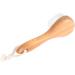 DOITOOL 1pc Pore Scrub Face Cleanser Facial Cleaning Brush Face Cleaning Brush Face Cleaning Beauty Brush Soft Bristle Brush Exfoliating Facial Brush Face Brush Frosted Wooden - Buy Online on GoSupps.com