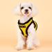 Puppia Dog Harness for Small & Medium Dogs - Soft Vest in Multiple Colors | Atanizzenwichter for Puppies - Yellow M - Buy Online on GoSupps.com
