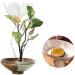 Round Flower Frog Holder - 3.3 Inch for Arrangements - Buy Online on GoSupps.com