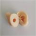 Silicone Ear Model - Simulation Human Body Part Silicone Model Artificial Ear Model - 1:1 Human Ear Model Simulation Display Props Teaching Tool Jewelry Display Earrings - Buy Online on GoSupps.com