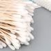 100 sticks of sanitary napkins wooden sticks/double head makeup remover sanitary cotton swabs