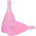 Shop Silicone Menstrual Cup with Cleaning Brush | Reusable Leakage-Free Hygiene Solution for Women - Buy Online on GoSupps.com
