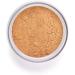 Inglot Loose Powder | Finished Loose Powder Perfect for Flawless Complexion | Shine Control and Long-Lasting Hold | Perfect Finish Loose Powder | 23g | No. 20 - Buy Online on GoSupps.com