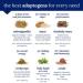 The Vitamin Shoppe Ashwagandha Extract 470MG - Energy & Stress Management Supplement (120 Capsules) - Buy Online on GoSupps.com