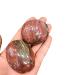 1pc Natural red Silicified Wood Quartz Crystal Palm Size Tumbled Stone Crafts for Decorative Gift Natural Stones and Minerals