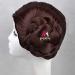 Leia Organa Solo Princess Brown Short Synthetic Hair Cosplay Wig with Buns | Heat Resistant Fiber & Wig Cap - Buy Online on GoSupps.com