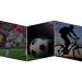 ZLYJ Compression Socks for Men & Women | 20-30mmHg Knee High Support Stockings for Running & Football - Buy Online on GoSupps.com