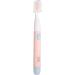 VITAMMY Buzz Universal Sonic Toothbrush - 28 000 Movements 2 Brushing Programs Pink | Best International Shipping - Buy Online on GoSupps.com