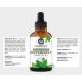 NaturoBliss 100% Pure Peppermint Essential Oil - 4 fl. oz | Therapeutic Grade - Buy Online on GoSupps.com