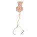 Colon Professional 5-Part Sensory Necklace for Autism & ADHD | Adjustable Multifunctional | Ideal for Boys & Girls - Buy Online on GoSupps.com