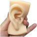 Artificial Human Ear Silicone Ear Model - Simulation Silicone Ear Model for Micro Plastic Surgery Module Pierced Ear Piercing Demonstration Teaching Props - Buy Online on GoSupps.com