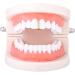 Hip Hop Teeth Gap Crystal Grills Punk Teeth Caps Cosplay Party Tooth Rapper Funny Jewelry Gift Gold - Buy Online on GoSupps.com