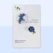 Buy Eunyul Daily Care Face Mask Pack - 10 Vegan Blueberry Masks | Korean Skin Care Hypoallergenic & Natural Ingredients - Buy Online on GoSupps.com