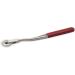 Buy Stainless Steel Toothed Wheel | Wartenberg Needle Wheel for Sensitivity Tests | Metallic Red Neurotest Tool - Buy Online on GoSupps.com