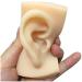 Artificial Human Pattern Silicone Ear - Silicone Simulation Ear for Micro Plastic Surgery Module Piercing Ear Piercing Teaching Demonstration - Buy Online on GoSupps.com