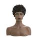 Short Jet Black Pixie Wig for Black Women - Synthetic Afro Kinky Haircut - Buy Online on GoSupps.com