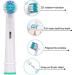 4 Replacement Toothbrush Heads for Braun Oral-B Electric Toothbrushes - Compatible Dentia Pack - Buy Online on GoSupps.com