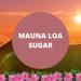Black Canyon Mauna Loa Sugar Scented Body Lotion with Lanolin and Jojoba Oil 12 Oz (2 Pack) - Buy Online on GoSupps.com