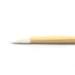 Bamboo Disposable Lip Gloss Applicator (25 Pack)
