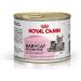 Royal Canin Mother & Babycat Mousse | 195 g | Complete Food for Cats | Specially designed for the mother and her puppies | po - Buy Online on GoSupps.com
