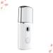Hemoton 2 Pcs Fashion Mist Sprayer Mini Face Spray Device Creative Nano Mist Sprayer Steamer - Buy Online on GoSupps.com