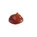 Premium Guava Filling 11lbs - Delicious and Versatile Option for Baking and Cooking - Buy Online on GoSupps.com