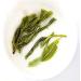 Th vert bio au d but du printemps 250g (0.55LB) Th chinois Huangshan Maofeng Frais de th vert chinois - Buy Online on GoSupps.com