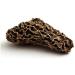 Dried Wild Morel Mushrooms 227g - Buy Online on GoSupps.com