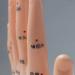 Acupuncture Hand Model Reflexology Acupoint Medical Study Kit - Buy Online on GoSupps.com