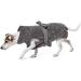 Shop Lills Dog Wadder - 100% Organic Cotton Bathrobe | Extra Absorbent Stone Gray | XXS (40 cm Back Length) - Buy Online on GoSupps.com