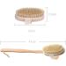 Dry Body Brush with Long Handle - Exfoliating Bath Brush for Shower with Natural Bristles - Remove Dead Skin and Cellulite - Buy Online on GoSupps.com