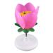 Portable Teaching Model Removerable Plant Flower Model Lifelike Biology Teaching Models Anatomy Model with Display Base Teaching Aids Small Peach Blossom