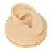 Soft Silicone Left Ear Simulation Model for Medical Teaching - Ideal for Hearing Aid Display - Buy Online on GoSupps.com