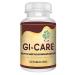 ijk GI-Care Herbal Supplement for IBS Approved by Ministry of Ayush Govt. of India 60 Tablets