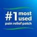 Salonpas Pain Relieving Patch | 20 Count for Back Neck Shoulder & Knee Pain | 8 Hour Pain Relief | International Shipping Available - Buy Online on GoSupps.com