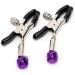 Premium Horse Set - Buy Online for Quality and Durability - Buy Online on GoSupps.com