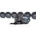 Cocokiss Coconut Activated Carbon - Effective Teeth Whitening & Stain Removal - Mint Flavor - International Shipping - Buy Online on GoSupps.com