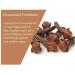 Clove Oil (Syzygium aromaticum) 100% Pure & Natural Undiluted Uncut Essential Premium Aromatherapy Oil - 15ml Clove 15 ml (Pack of 1) - Buy Online on GoSupps.com