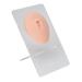 3D-silicone belly model simulation soft flexible human navel model reusable thickened display for piercing (bright skin color)
