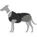 HUNTER Uppsala Cozy Dog Coat - Winter Water-Repellent Reflective | Size 30 | Anthracite/Grey - International Shipping Available - Buy Online on GoSupps.com