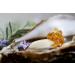 Buy Caviaroli Oil Caviar - Sesame Oil Pearls 50g | Premium International Shipping - Buy Online on GoSupps.com
