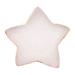 nail art palette Resin Nail Art Palette Star Shaped Painting Color Mixing Plate Cosmetic Mixing Tools White