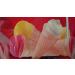 CARNABY Marshmallow Cones - Buy Online on GoSupps.com