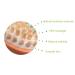 Hajimsju Bamboo Anti Cellulite Massager - Natural Body Slimming Brush for Muscle Relaxation and Spa Massage - Pack of 2 - Buy Online on GoSupps.com