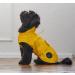 Shop Hunter Dog Raincoat in Milford Yellow - Size 50 | Best International Shipping - Buy Online on GoSupps.com